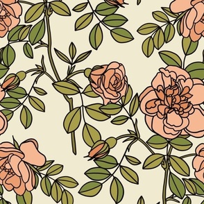 Climbing roses in coral pink - small