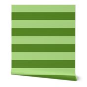 Greens Christmas Stripe 