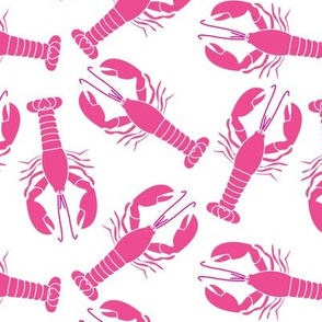 dark pink lobsters on white