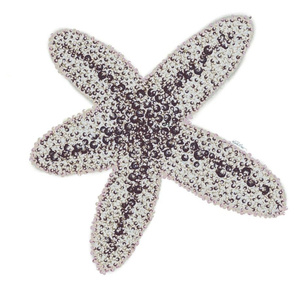 Starfish - BW