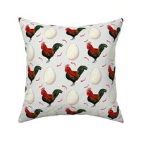 Rooster and Eggs On Light Grey Background