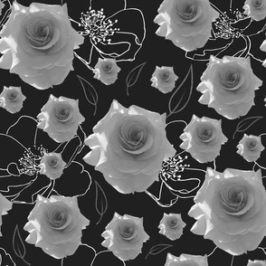 Sweet Sonata Roses - Black & White 