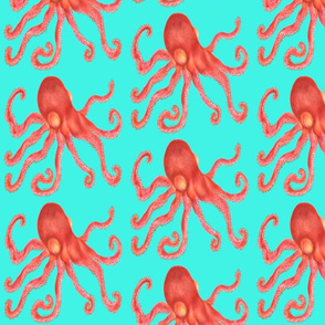 Octopus - Turquoise