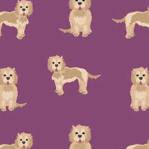cockapoo fabric - tan cockapoo fabric, tan cockapoo dog, dog fabric, dogs fabric, cute dog, dog fabric -  purple