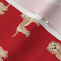 cockapoo fabric - tan cockapoo fabric, tan cockapoo dog, dog fabric, dogs fabric, cute dog, dog fabric - red