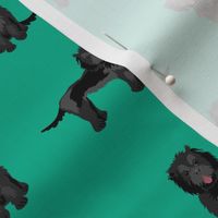 cockapoo fabric - black cockapoo fabric, black cockapoo dog, dog fabric, dogs fabric, cute dog, dog fabric -green