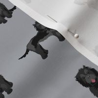 cockapoo fabric - black cockapoo fabric, black cockapoo dog, dog fabric, dogs fabric, cute dog, dog fabric - grey