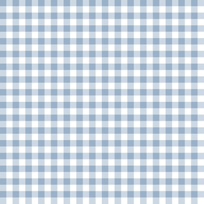 1930s baby blue and white gingham, 1/4" squares 