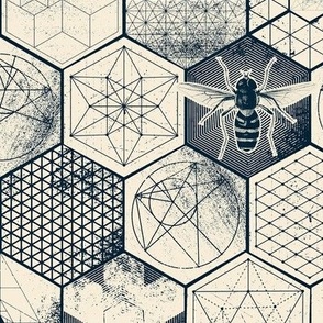 The Honeycomb Conjecture-reversed