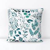 Teal leaves botanical foliage nature ferns on white background