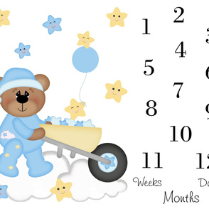 Baby Boy Monthly Blanket Teddy Bear Milestone 2