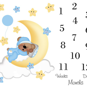 Baby Boy Monthly Blanket Teddy Bear Milestone 3