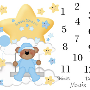 Baby Boy Monthly Blanket Teddy Bear Milestone 4