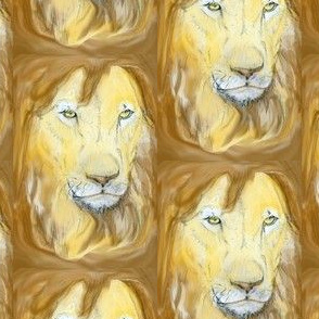 Lion portrait