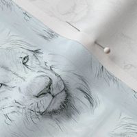 Lion portrait monochrome