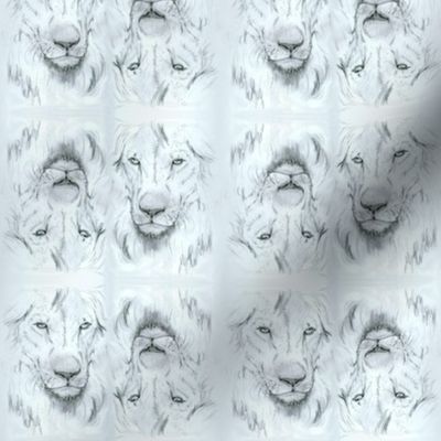 Lion portrait monochrome2