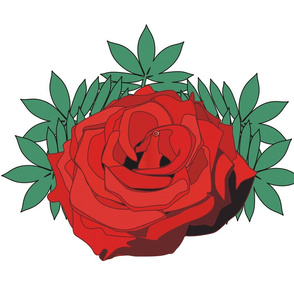 Red Rose