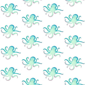 Medium Octopus Lily 