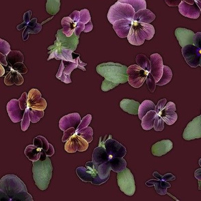 Moody Violas On Burgundy