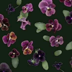 Moody Violas On Dark Green