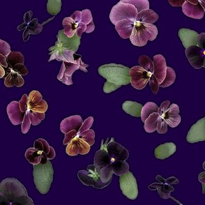 Moody Violas On Violet Purple