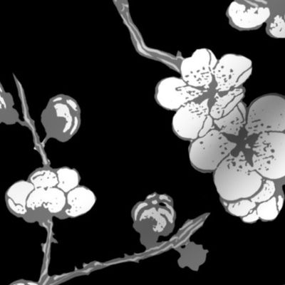 sakura ( Black and white)
