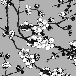 sakura ( Black and white02)