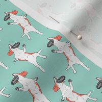 Small Mod LCP disc hound Beagles - Coral and Mint