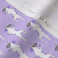 Small Mod LCP disc hound Beagles - Lavender