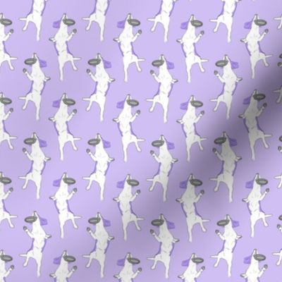 Small Mod LCP disc hound Beagles - Lavender