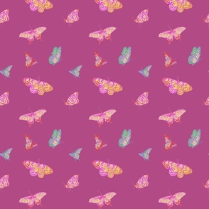 Magenta Butterflies