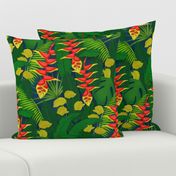 Tropical Rainforest - Heliconia