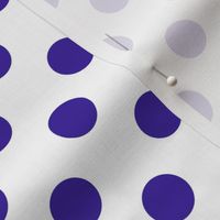 Max quilt E dot white navy 2x2