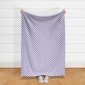 Max quilt E dot white navy 2x2