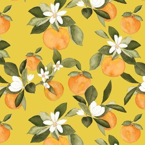 Orange Blossom on Yellow