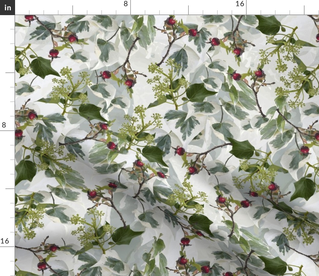 Dark Green Ivy Leaves, Bright Variegated Ivy Leaf Pattern, Red Berry Botanical