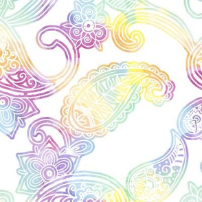 Rainbow Paisley