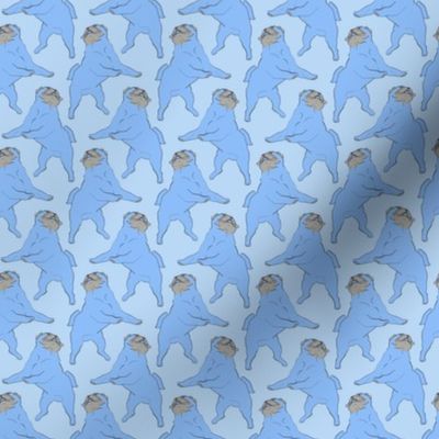 Small Mod LCP dancing Pugs - Blues