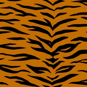 tiger stripes (large scale)