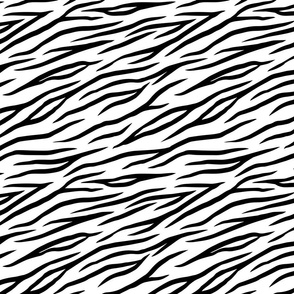zebra diagonal