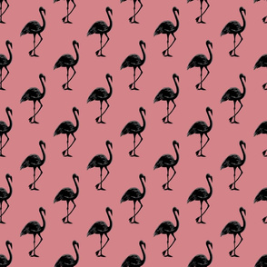  Flamingo 1 Pink Black