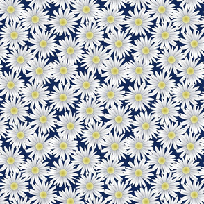 Daisies on a Navy Blue Background