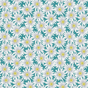 Daisies on a Teal Background