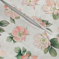 Wild Rose on White Linen, Coral Blush Large Non-directional Floral