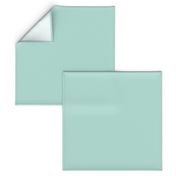 HJ Solids - Mint