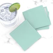 HJ Solids - Mint