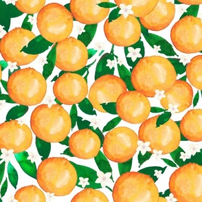 summer orange fruit 