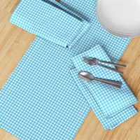 Bunny Blues Coordinate Gingham