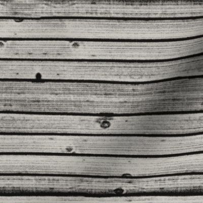 weathered wood-clapboard