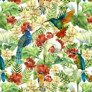 tropic flowers and birds on white (small scale)